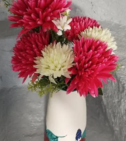 Casa vacanze Paradise