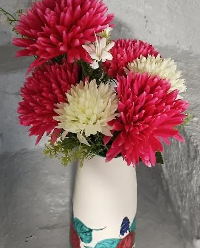 Casa vacanze Paradise